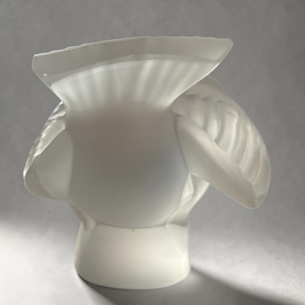 Photoroom_20260615_233028-compressed