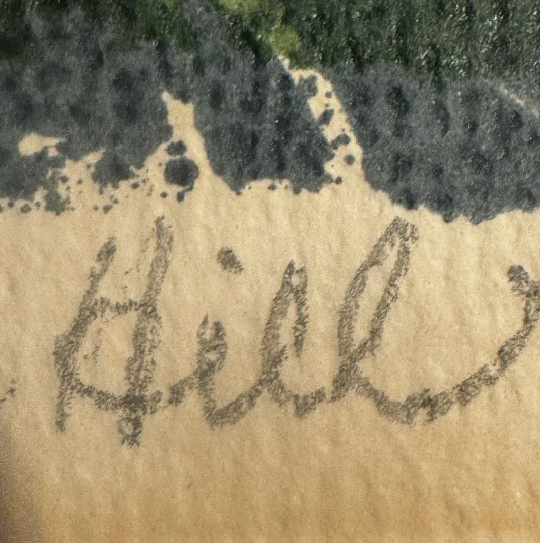 WEIDMAN DAVID - THE HILL - Image 4